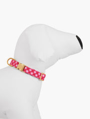THE FOGGY DOG RASPBERRY PLAID DOG COLLAR | Talbots sale