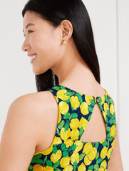 EFFORTLESS JERSEY SLEEVELESS SHIFT DRESS - LEMON BUNCHES | Talbots US