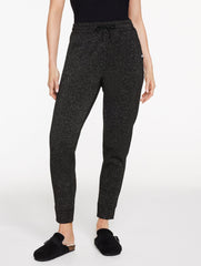 BRUSHED METALLIC JOGGERS | Talbots discount