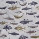 Fish Big