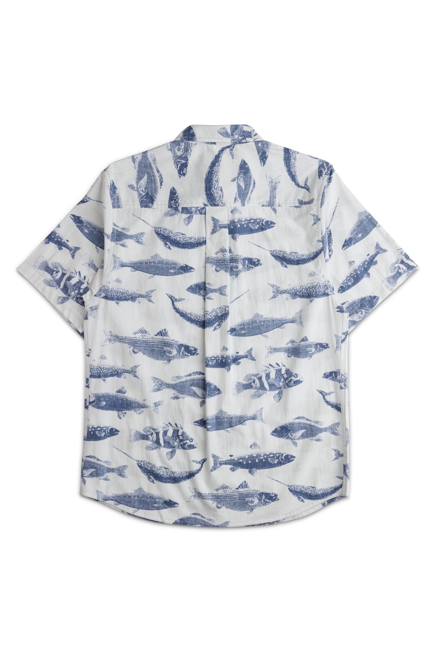 KAVU Topspot