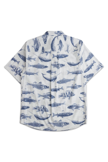 KAVU Topspot