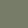 Green Ravine