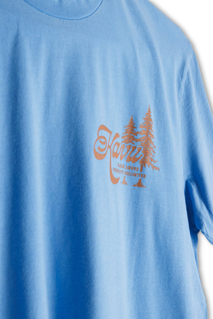 KAVU In A Pine