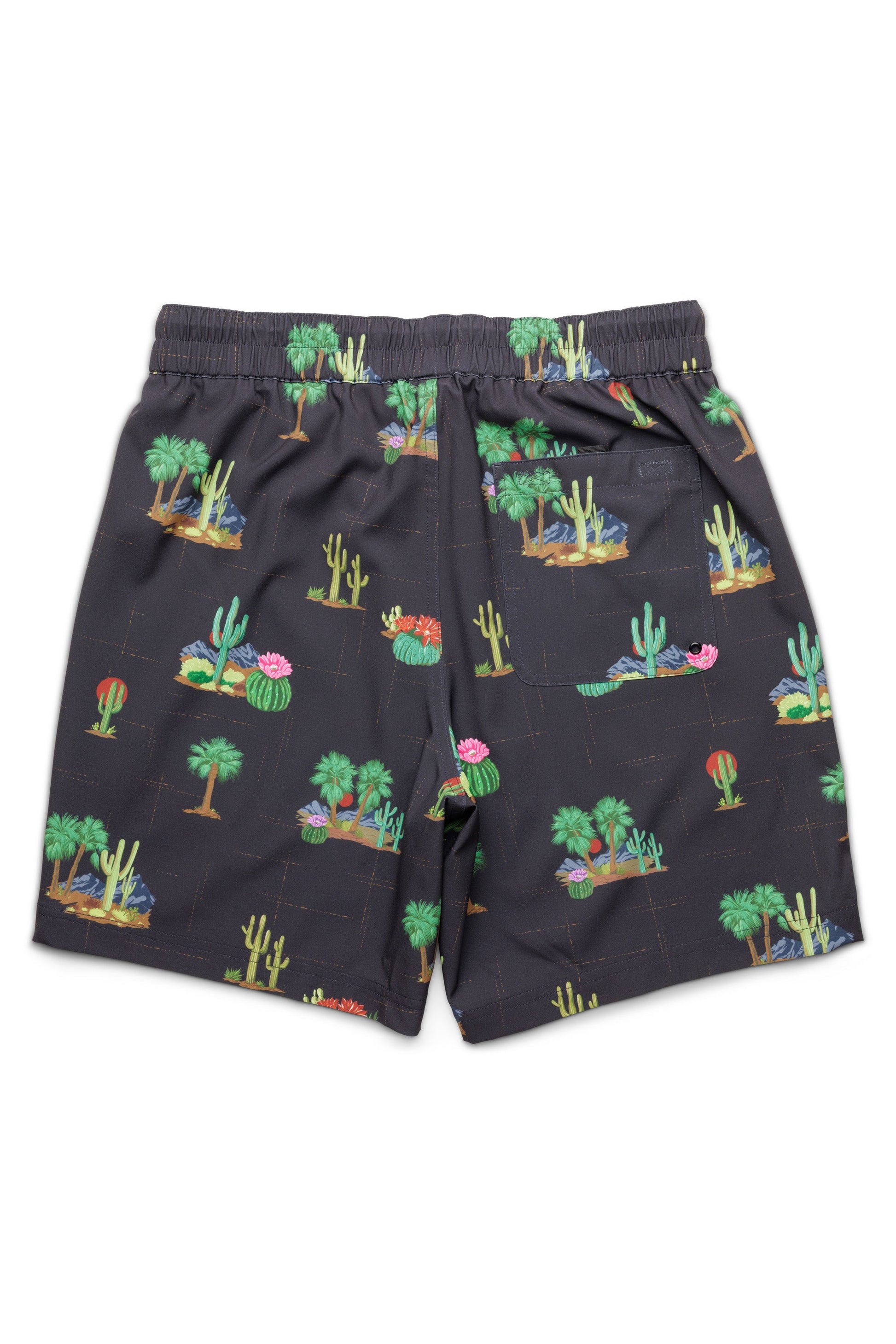 KAVU Costa Short