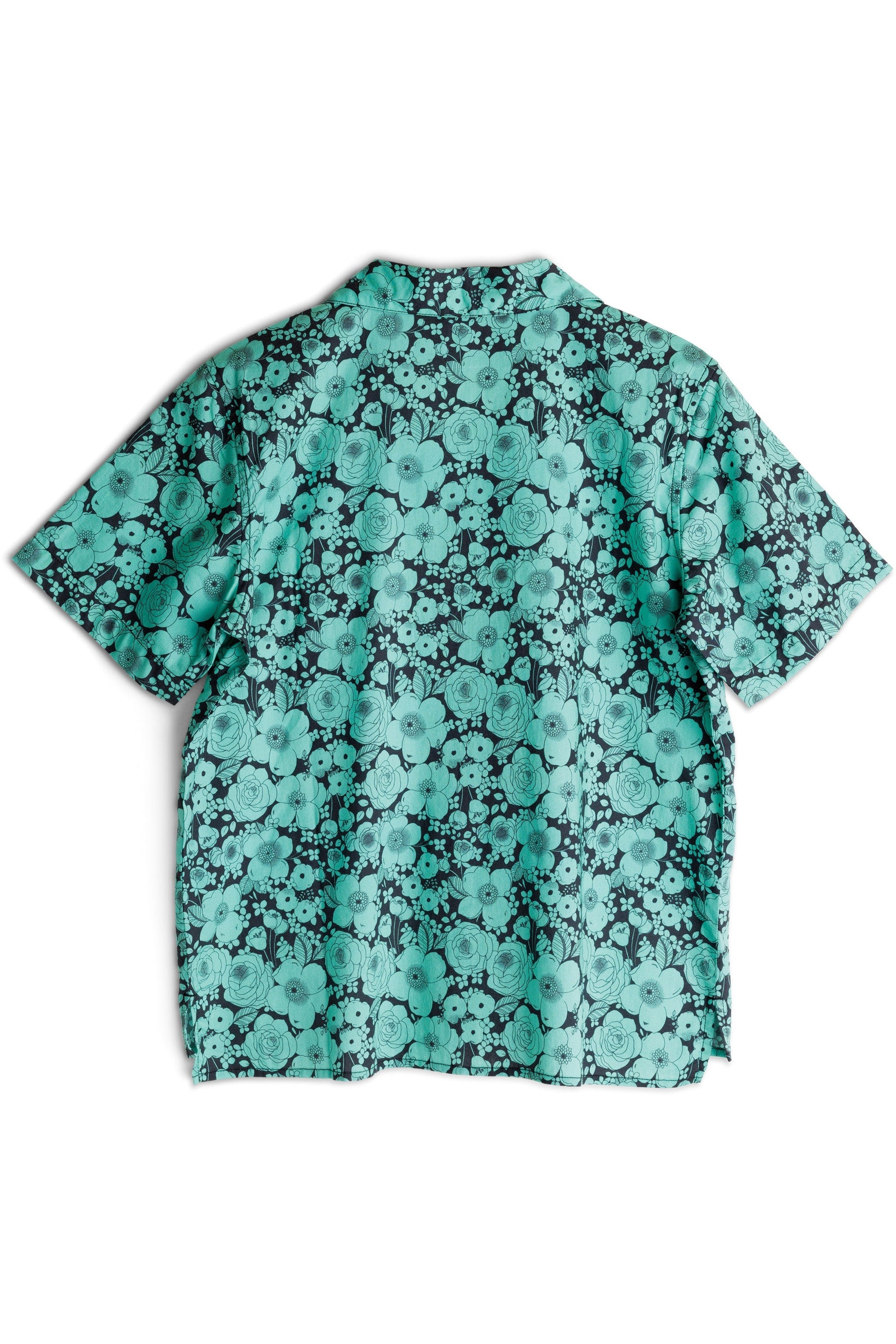 KAVU Cedar Springs