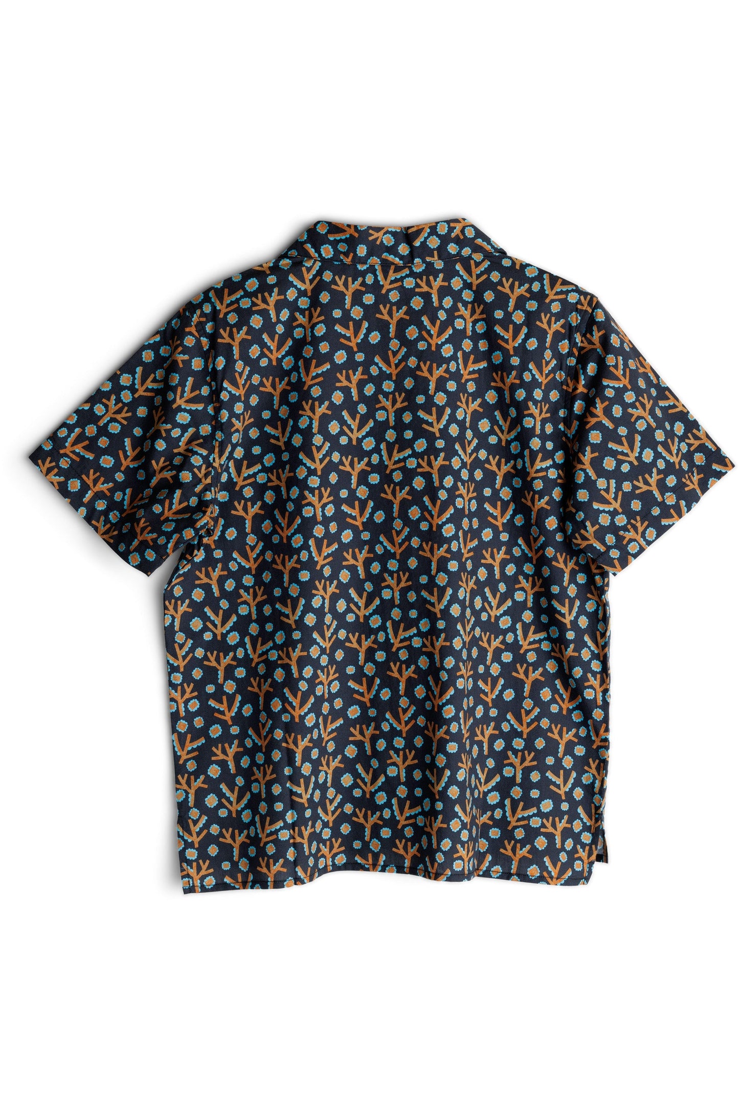 KAVU Cedar Springs
