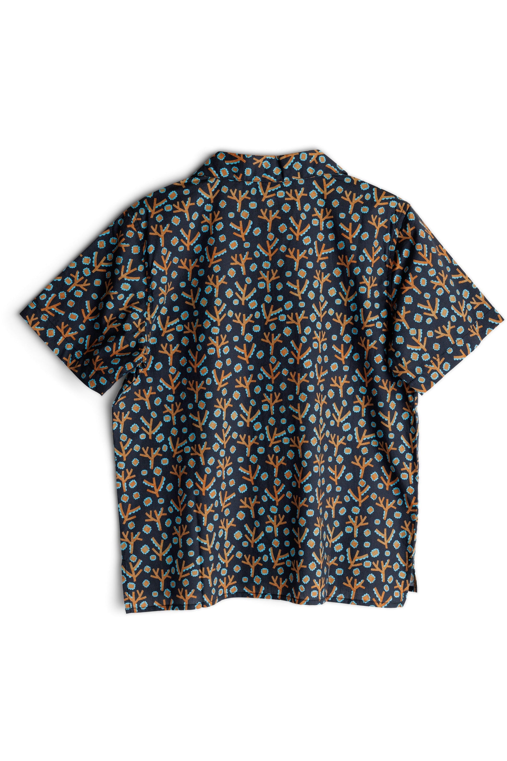 KAVU Cedar Springs
