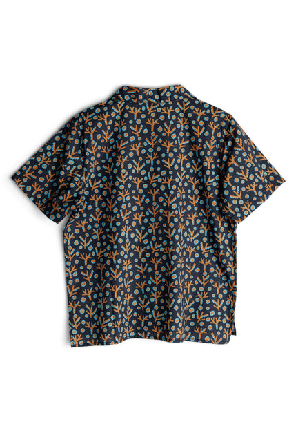 KAVU Cedar Springs