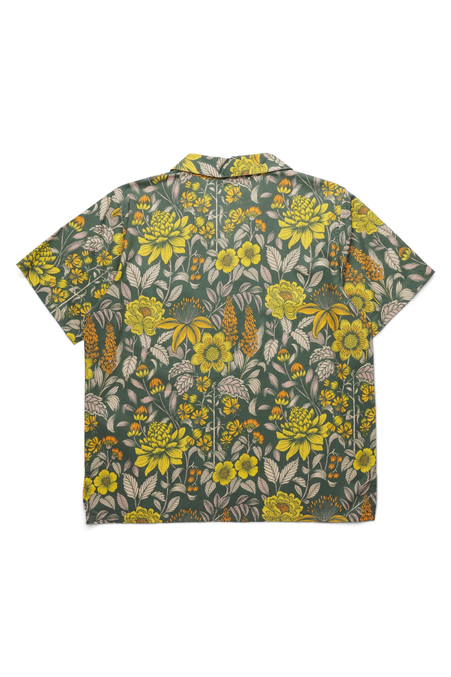KAVU Cedar Springs