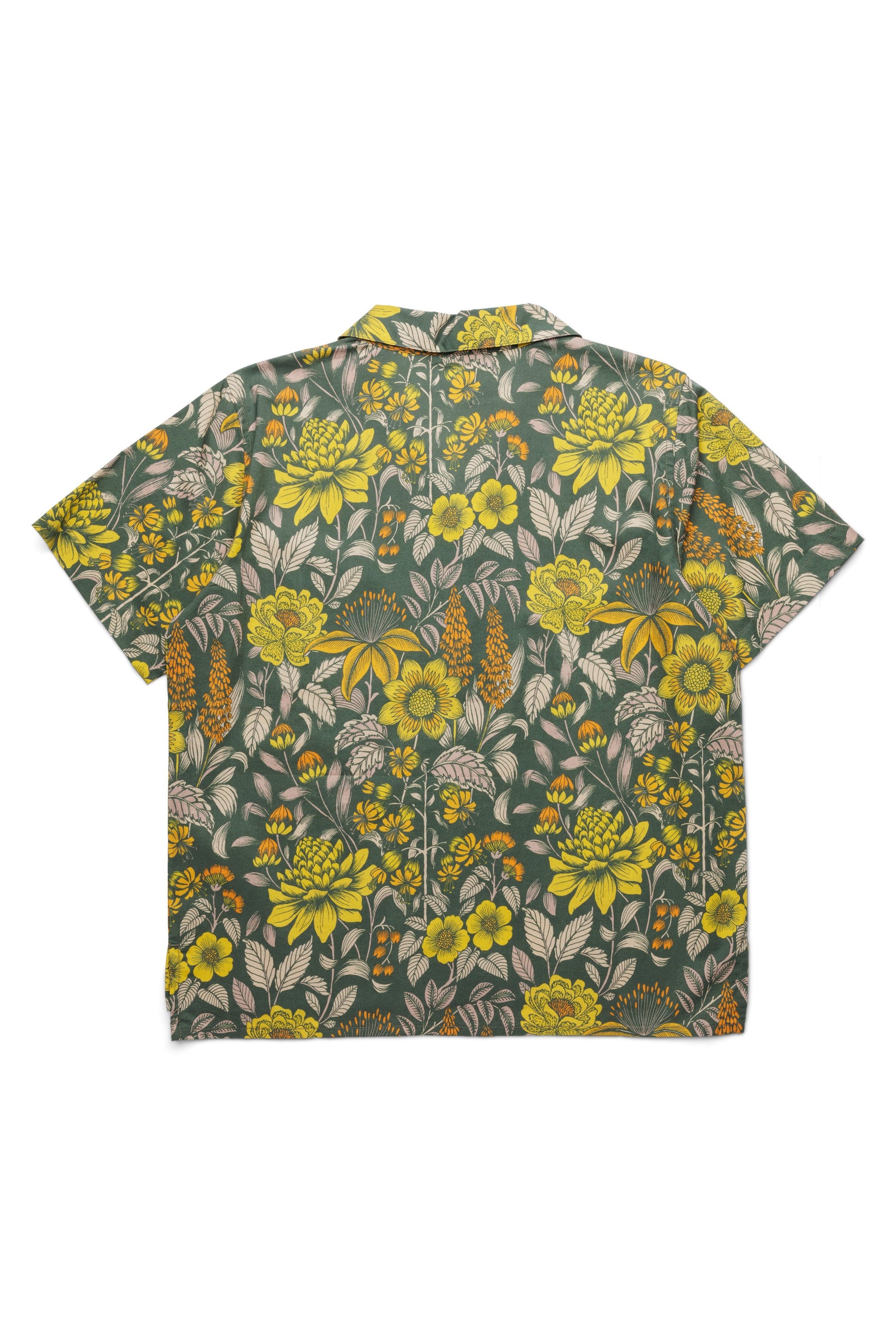 KAVU Cedar Springs