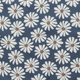 Daisy Love