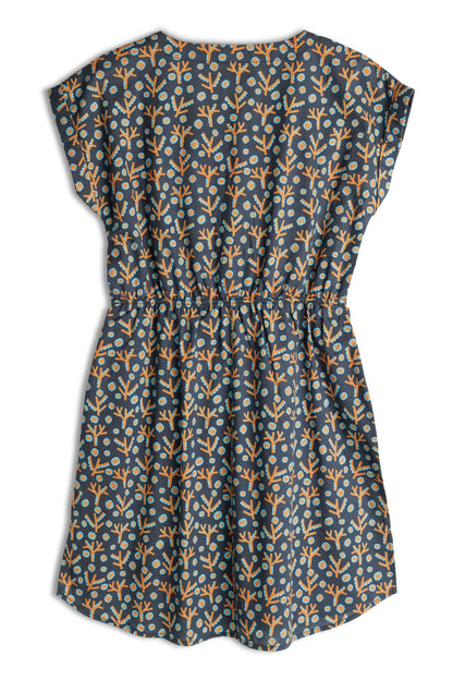 KAVU Dreamview
