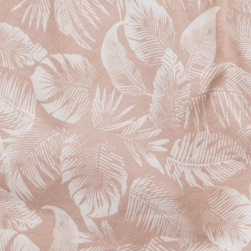 Passion Palm,XXS