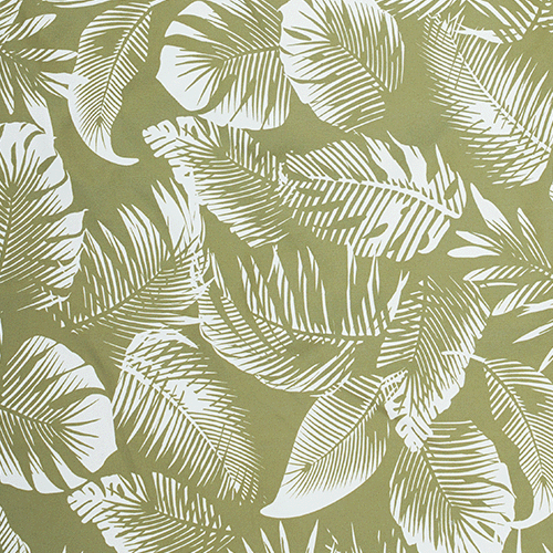 Calm Palm