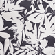 Bw Fronds