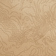 Terrain Topo