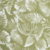 Calm Palm