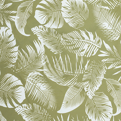 Calm Palm