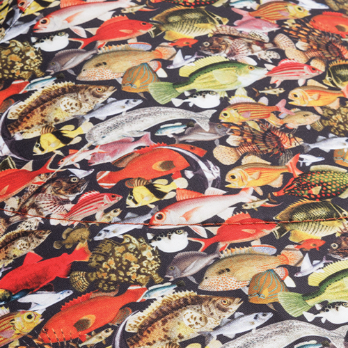 Fish Line