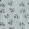 Bike Lane