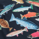 Fish fest