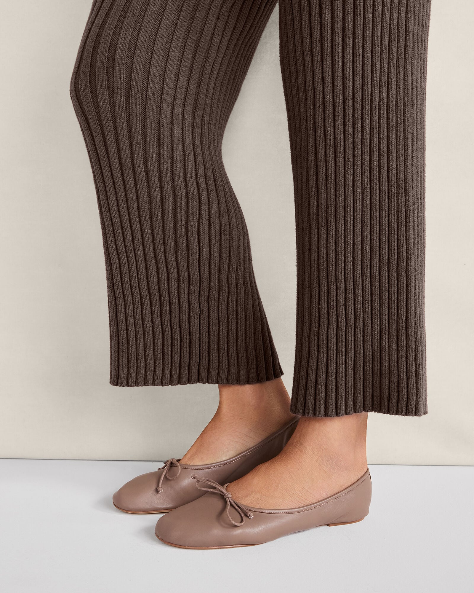SOFT LEATHER BALLET FLATS | Talbots near me