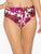 WILD ASTER MULTI