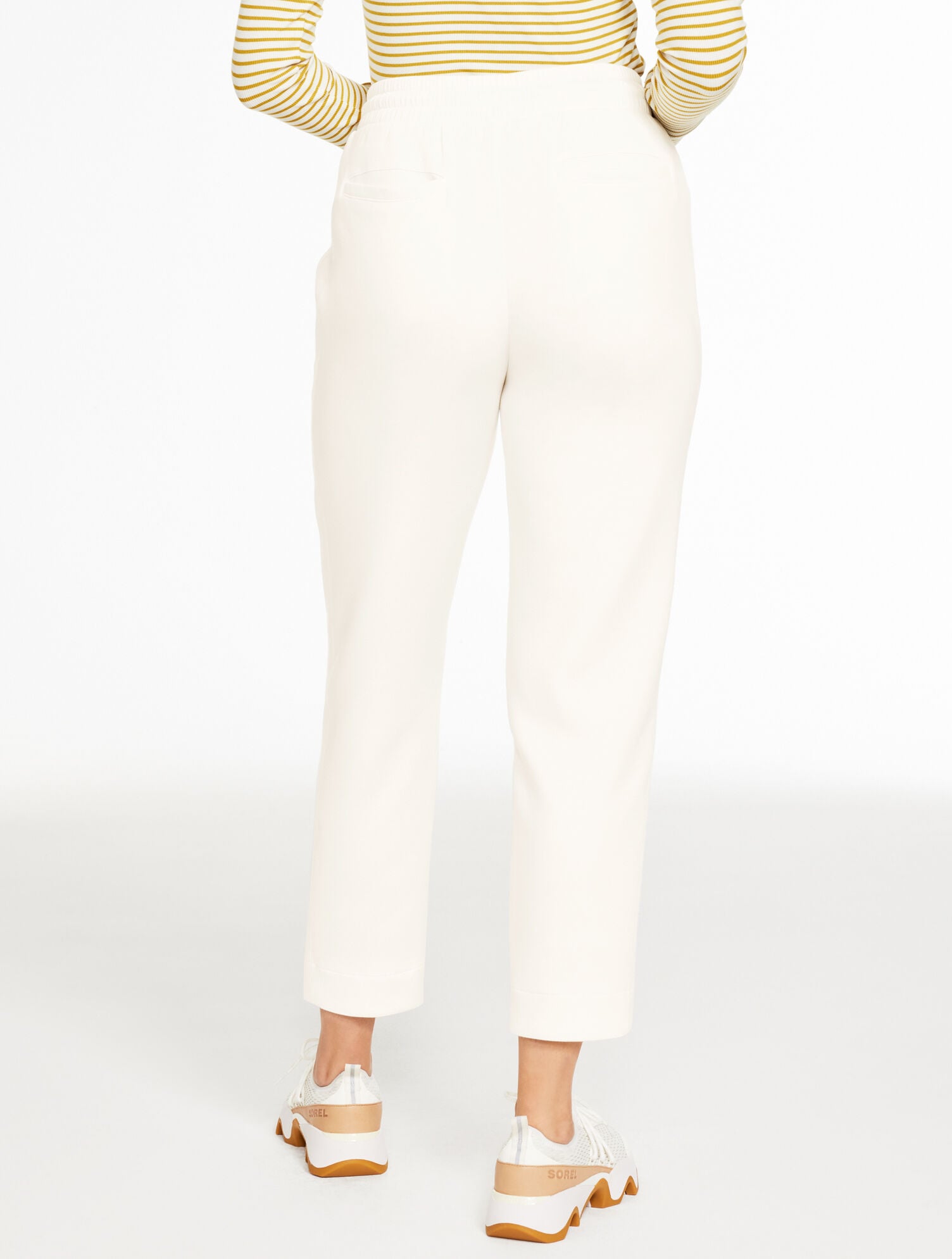AIRKNIT STRETCH TAPERED LEG PANTS | Talbots US