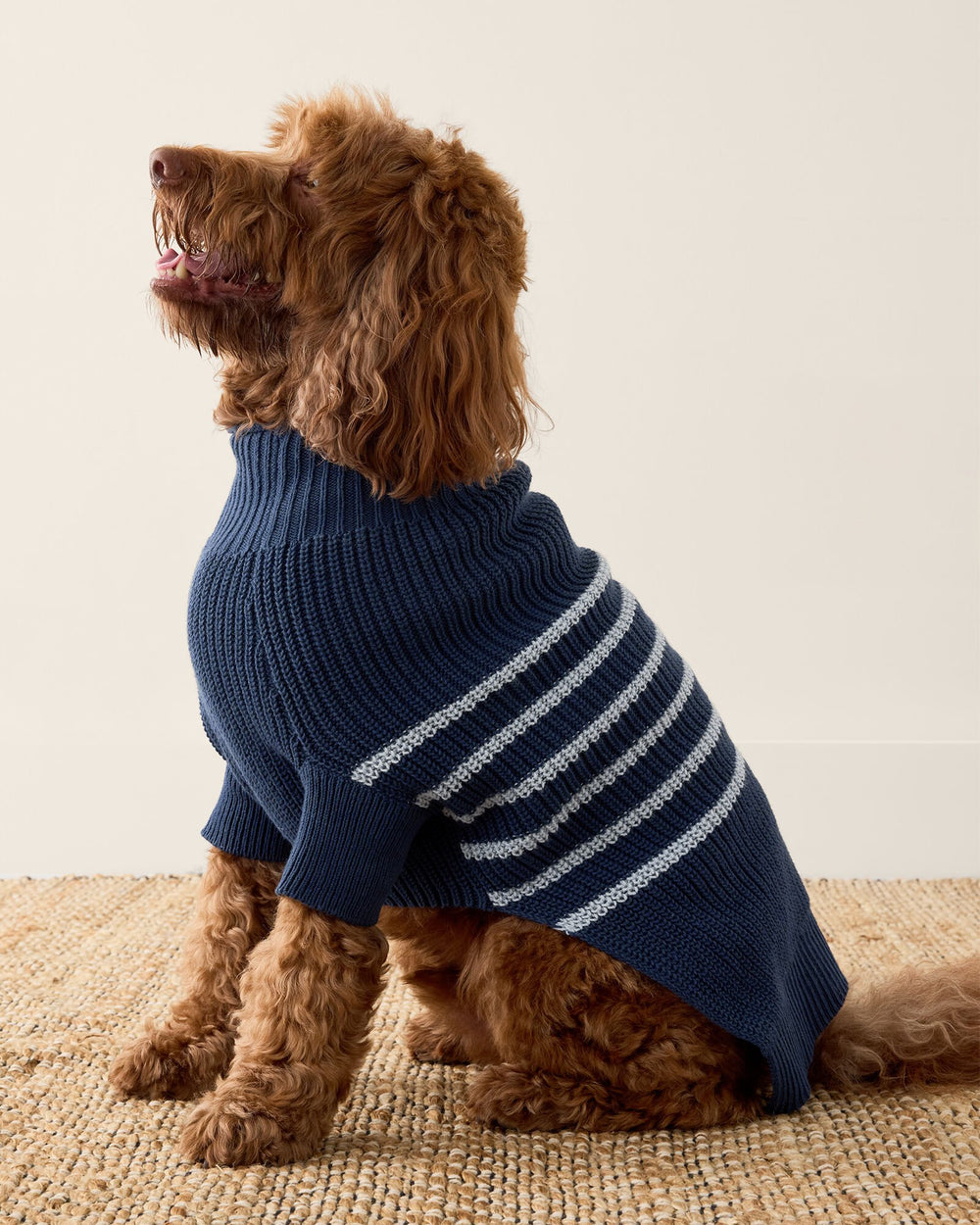 ORGANIC COTTON STRIPED DOG SWEATER | Talbots sale