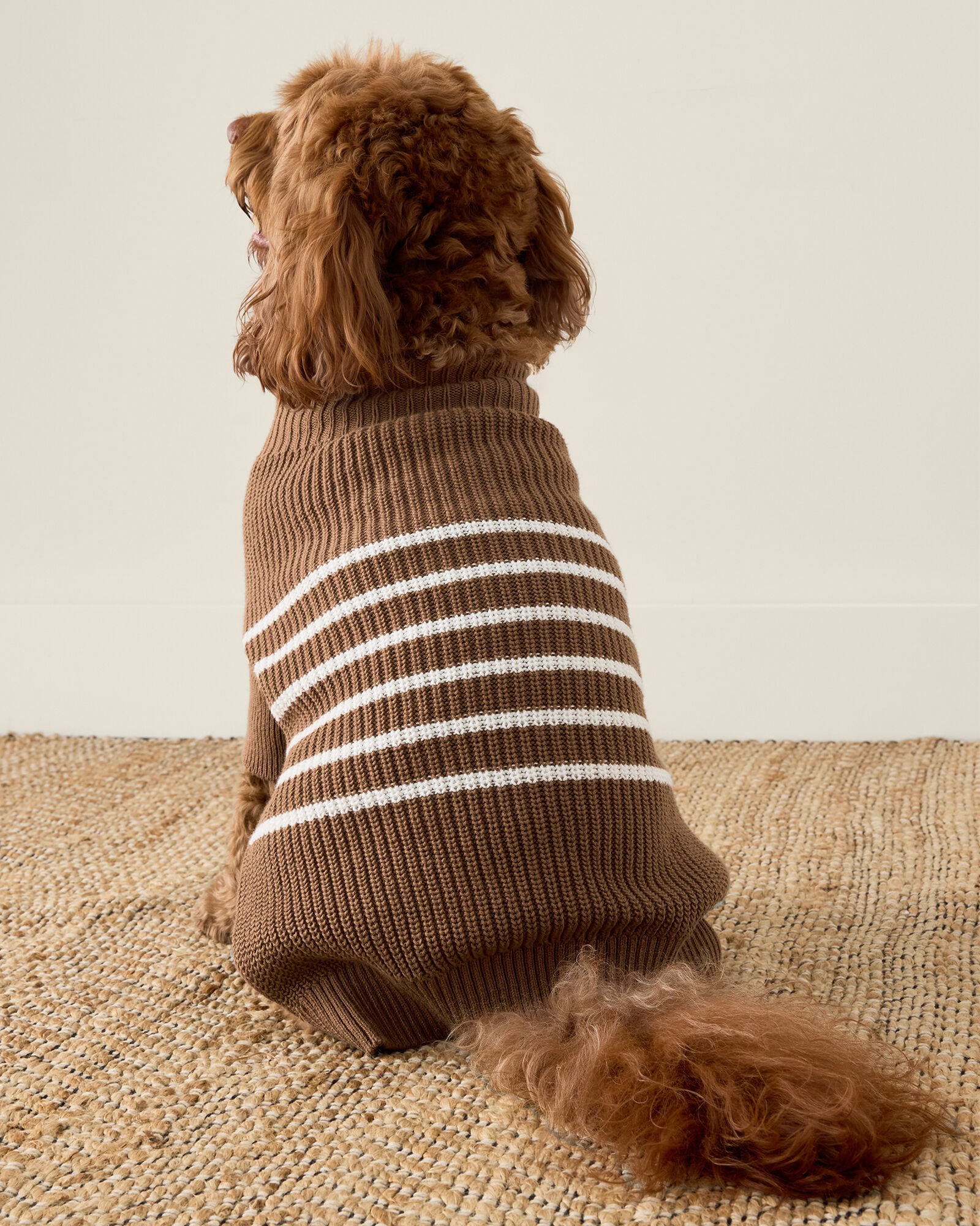 ORGANIC COTTON STRIPED DOG SWEATER | Talbots sale