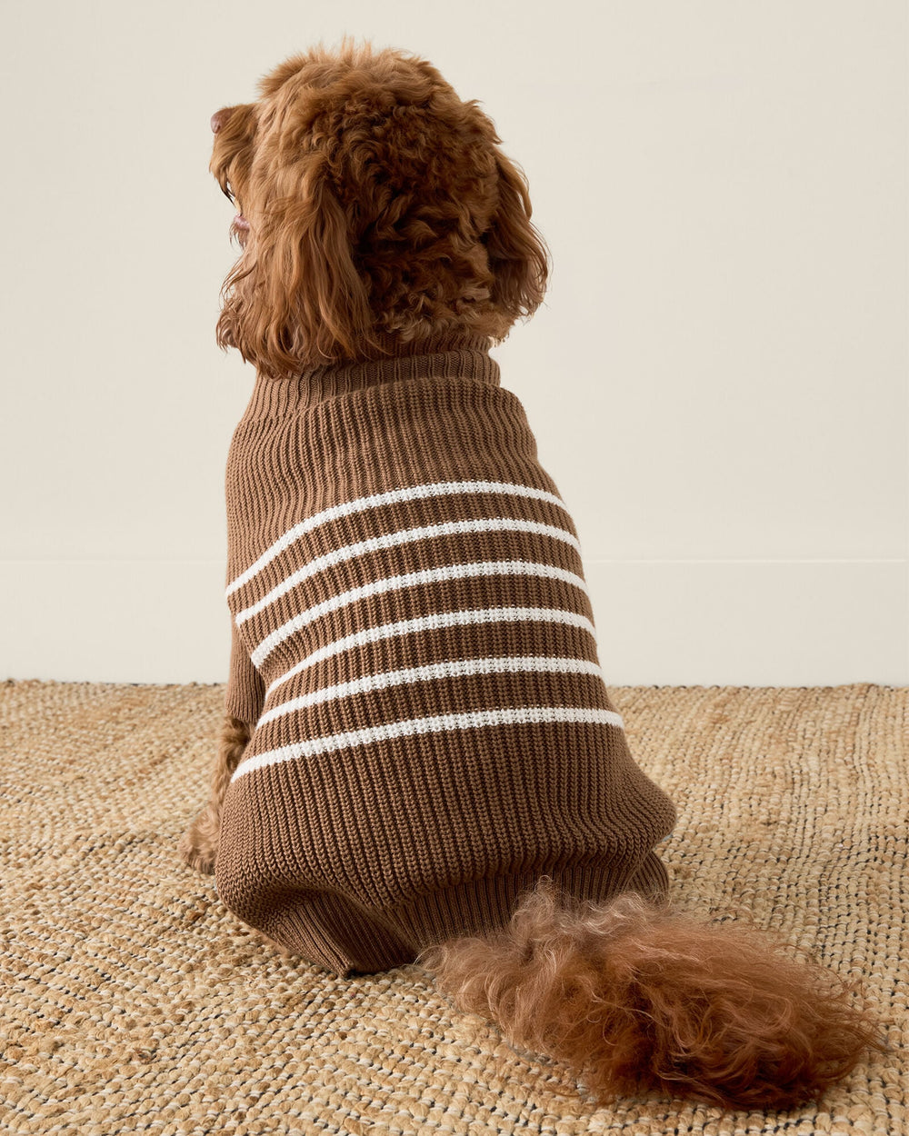 ORGANIC COTTON STRIPED DOG SWEATER | Talbots sale