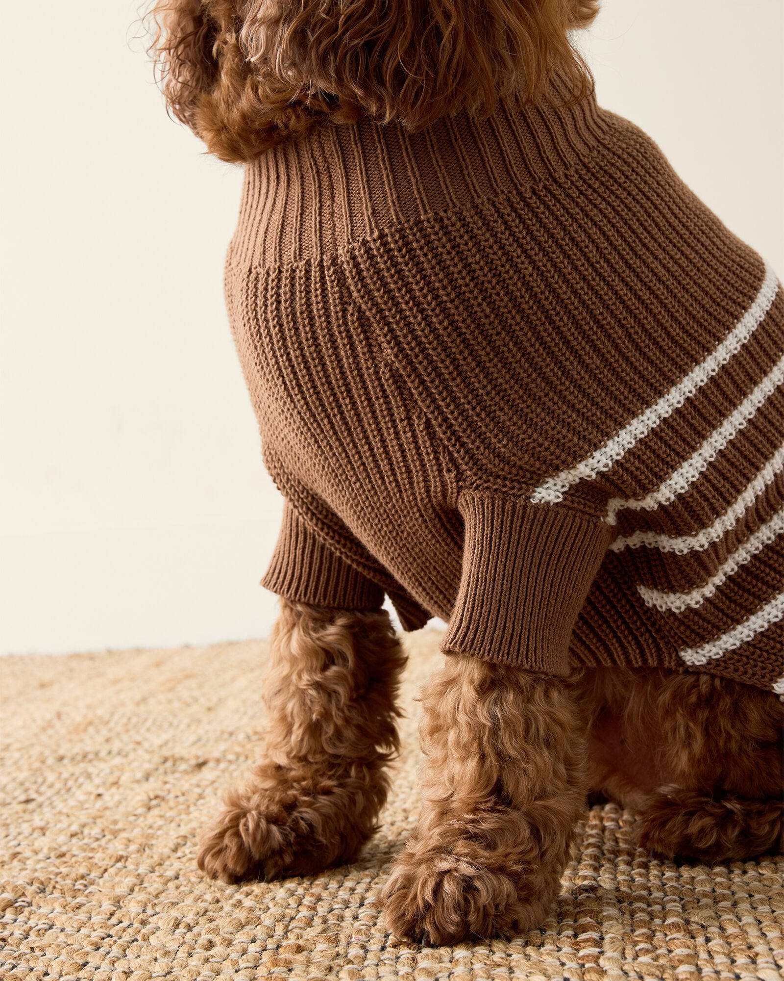 ORGANIC COTTON STRIPED DOG SWEATER | Talbots sale