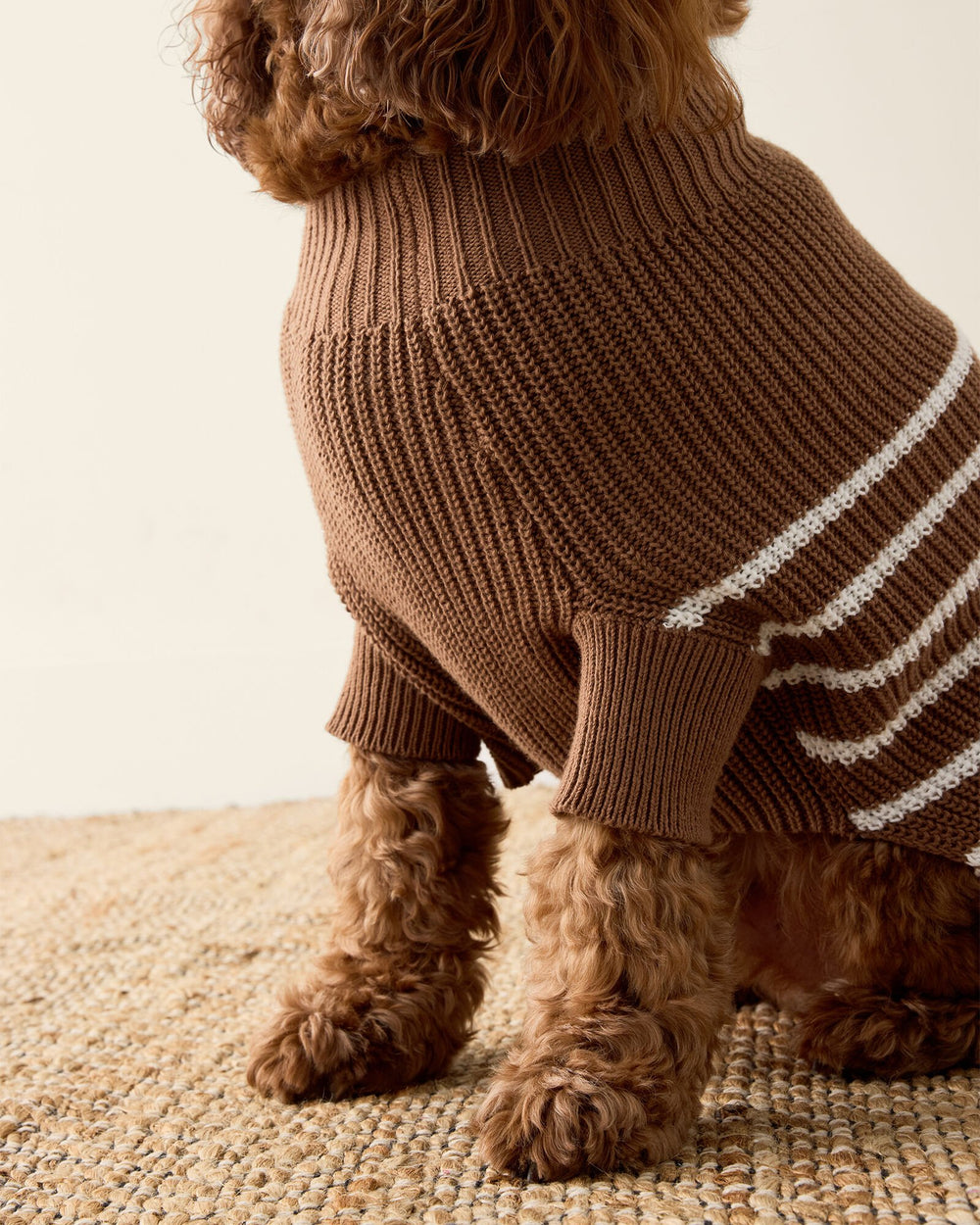 ORGANIC COTTON STRIPED DOG SWEATER | Talbots sale