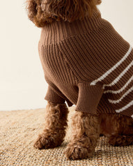 ORGANIC COTTON STRIPED DOG SWEATER | Talbots sale