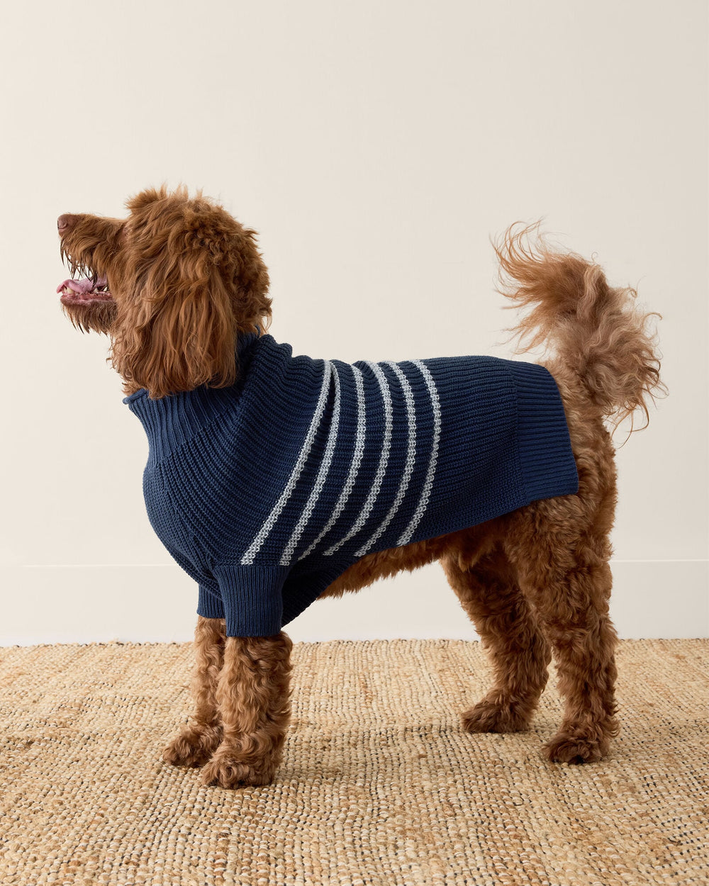ORGANIC COTTON STRIPED DOG SWEATER | Talbots sale