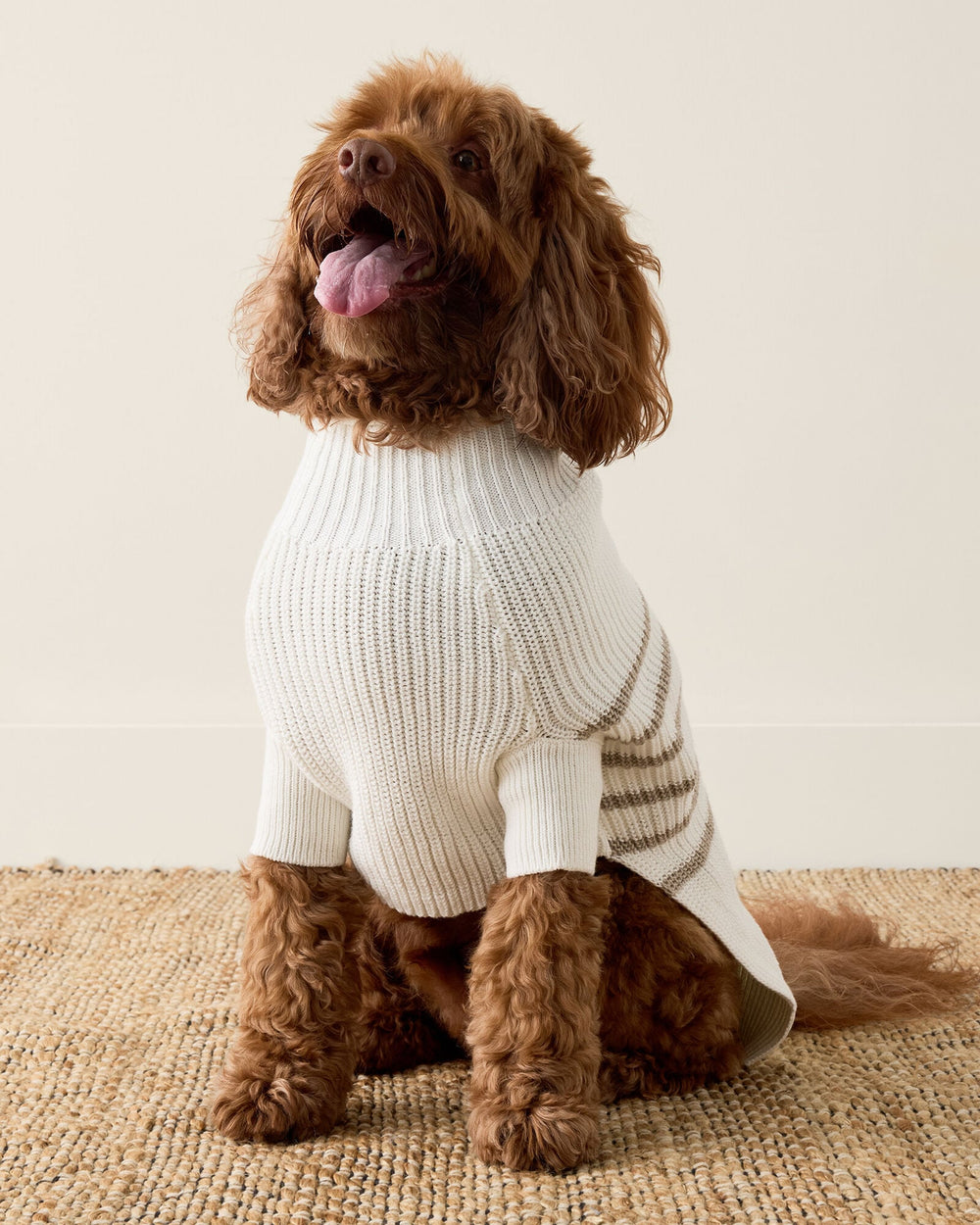 ORGANIC COTTON STRIPED DOG SWEATER | Talbots sale