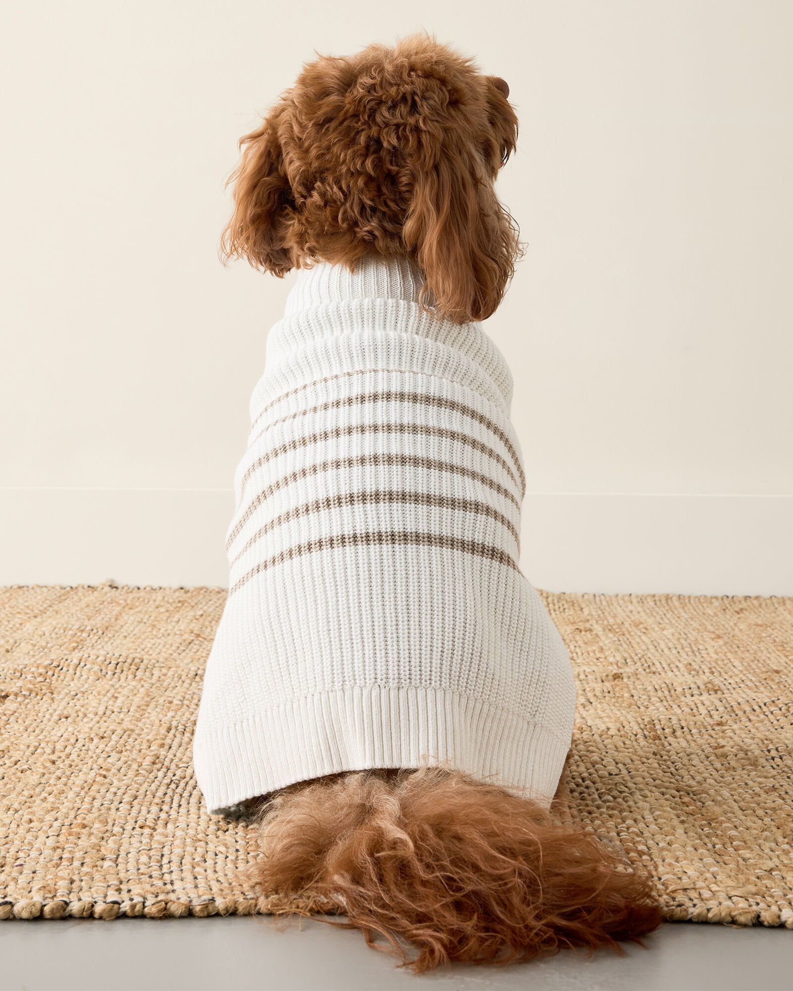 ORGANIC COTTON STRIPED DOG SWEATER | Talbots sale
