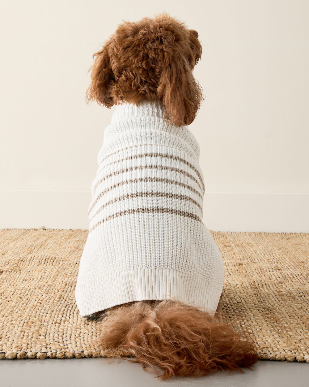 ORGANIC COTTON STRIPED DOG SWEATER | Talbots sale