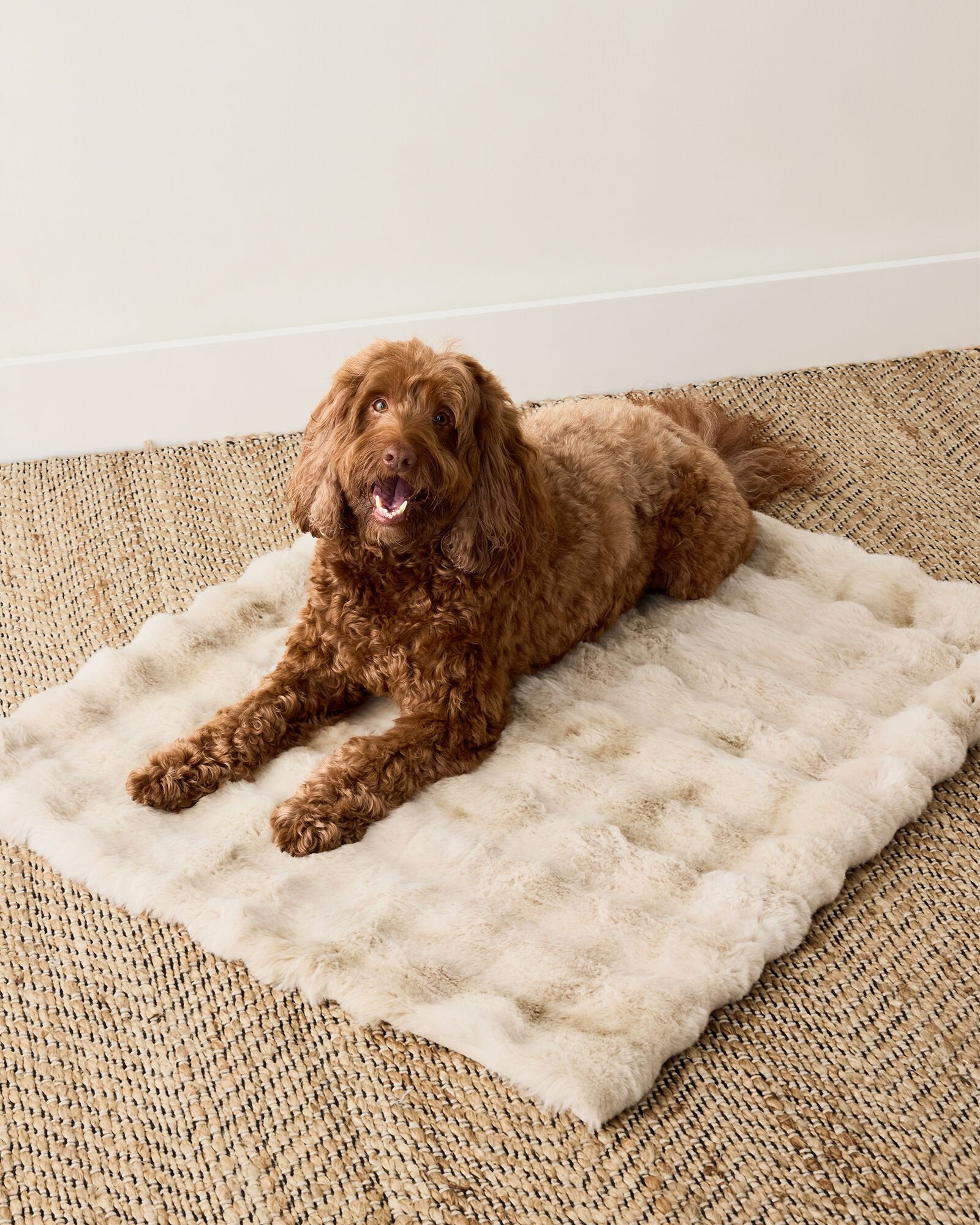 FAUX FUR PET THROW BLANKET | Talbots discount