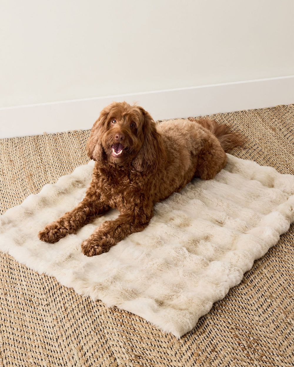 FAUX FUR PET THROW BLANKET | Talbots discount