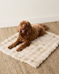FAUX FUR PET THROW BLANKET | Talbots for sale